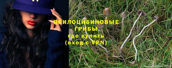 a pvp Алексин