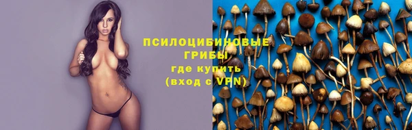 a pvp Алексин