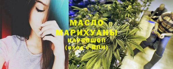 амф Новозыбков