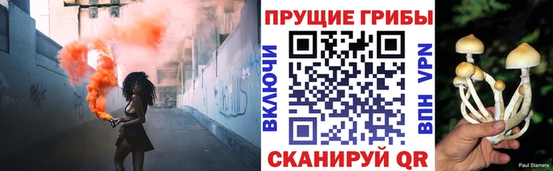 Псилоцибиновые грибы ЛСД дарнет шоп Уяр